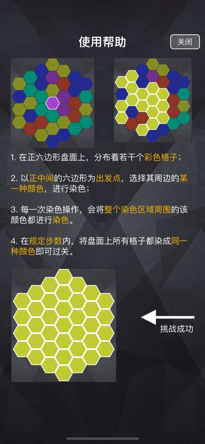 染色棋盘ios版3