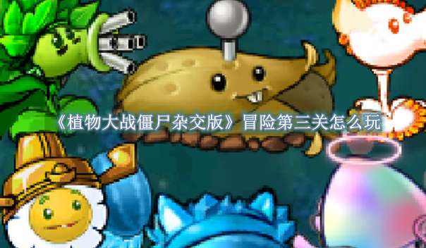 《植物大战僵尸杂交版》冒险第三关怎么玩
