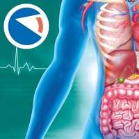Anatomia Superios版