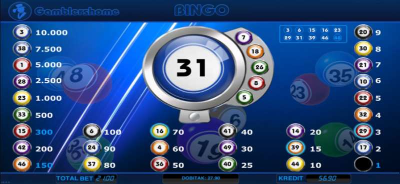 Gamblershome Bingoios版3