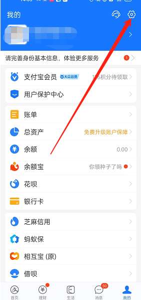支付宝怎么开启资产隐私保护-支付宝开启资产隐私保护功能方法