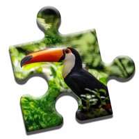 Jungle Life Puzzleios版