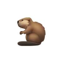 Beaver Dashios版
