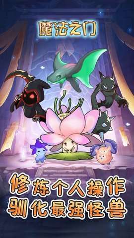 魔法之门Online(爽玩送神权)0