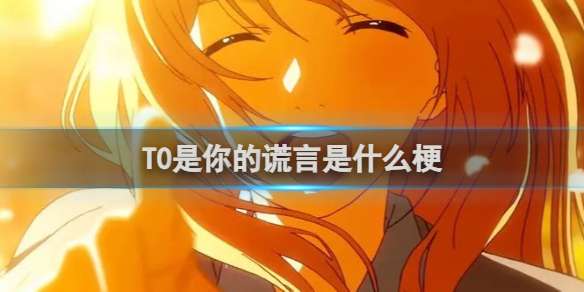 T0是你的谎言是什么梗 T0是你的谎言梗介绍