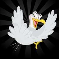Bird Shooter 3Dios版