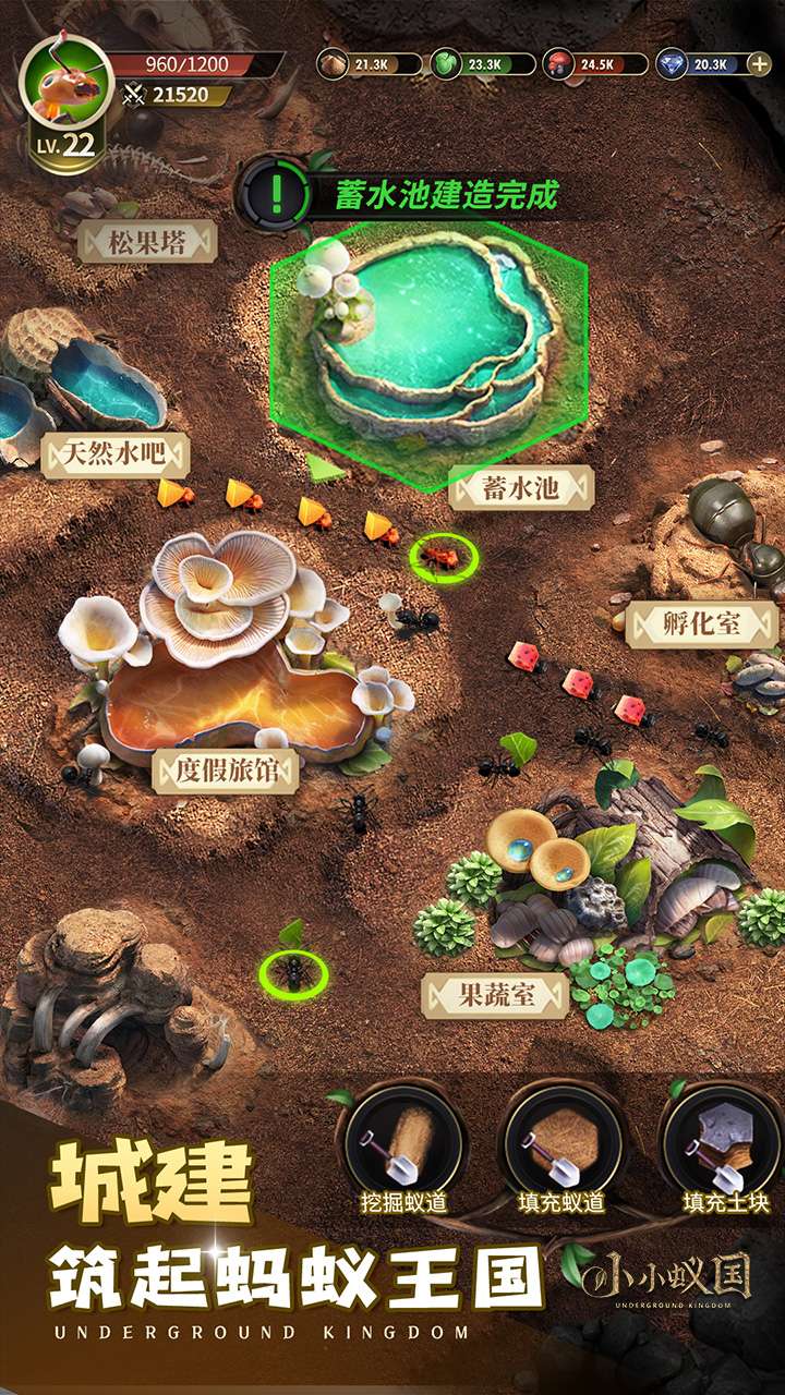 小小蚁国（无垠荒野）1