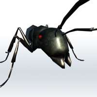 Ant Gardenios版