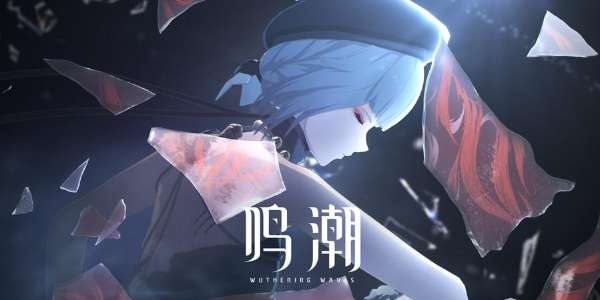 鸣潮自选声骸推荐,公测自选声骸哪个好