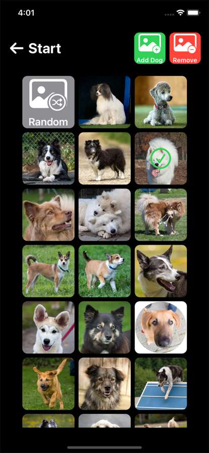 Slider Dogios版6