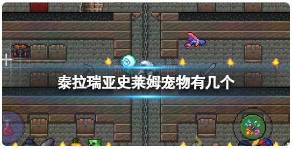 泰拉瑞亚史莱姆宠物有几个 泰拉瑞亚所有种类史莱姆宠物大全