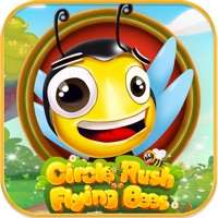 Circle Rush Flying Beesios版