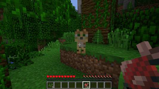 我的世界猫咪怎么样-我的世界猫咪生物介绍