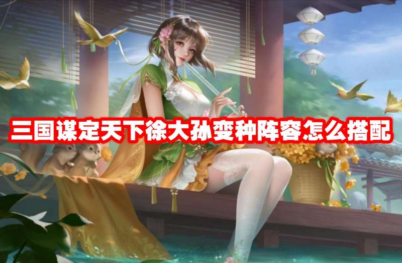 三国谋定天下徐大孙变种阵容怎么搭配