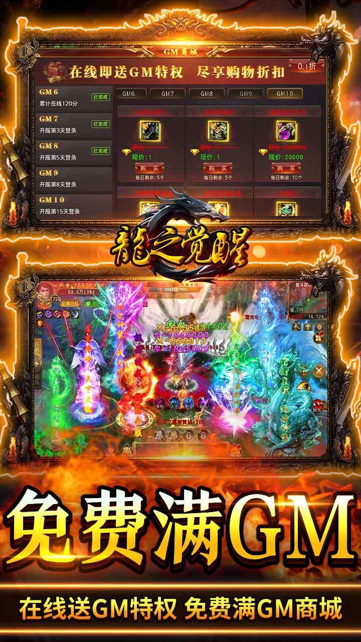 龙之觉醒（内置0.1折)2