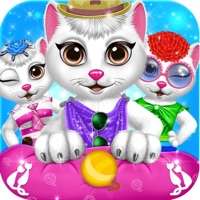可爱的小猫宠物护理活动ios版