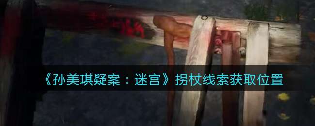 《孙美琪疑案：迷宫》五级线索——拐杖