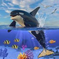Killer Whale Orca Simulatorios版