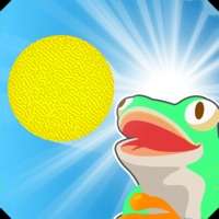 Frog Bizergios版