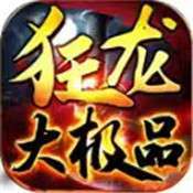 狂龙大极品