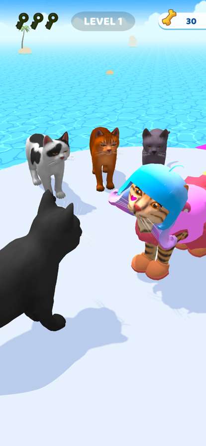 Cats run 3Dios版4