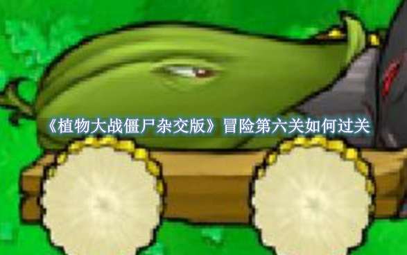 《植物大战僵尸杂交版》冒险第六关如何过关