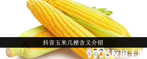 抖音玉米几梗含义介绍