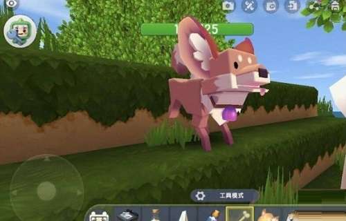 迷你世界狐狸怎么驯服-迷你世界狐狸驯服攻略