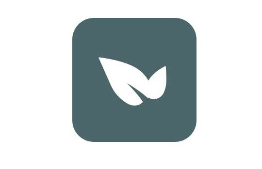 青藤之恋app怎么查看版本号