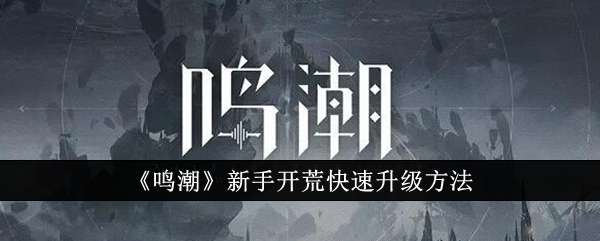 《鸣潮》新手开荒快速升级技巧一览