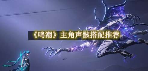 《鸣潮》主角声骸搭配推荐