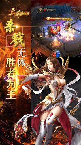 天尊传奇爆款单职业1