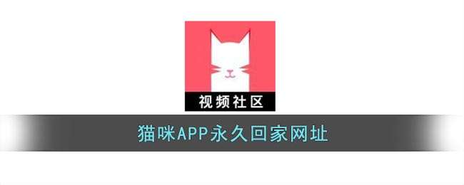 猫咪APP永久回家网址