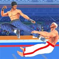 The Karate Kings Fight Game 3Dios版