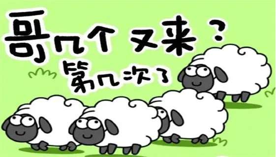 羊了个羊12.23攻略 羊了个羊12月23日每日一关通关教程